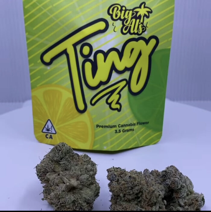 Ting Strain Big Al’s Exotics